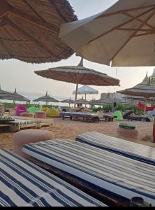 - un groupe de chaises longues et de parasols sur une plage dans l'établissement Studio, à Charm el-Cheikh