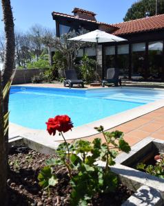 a swimming pool with a red flower in a yard at Alagoas4Family - Country House in Arouca