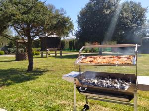 Sprzęt do grillowania w domu wakacyjnym