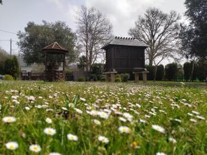 Ogród w obiekcie Casas da Chousa