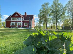 une grande maison rouge avec une grande usine de choux au premier plan dans l'établissement Sörbygården Bed & Breakfast, à Brunflo