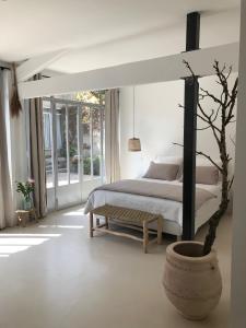 a bedroom with a bed and a potted tree at Maison Les Chênes in Eygalières