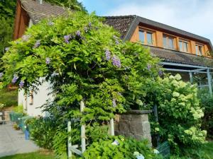 un gran arbusto de flores frente a una casa en Ferienwohnung Mühlengrün en Oberwolfach