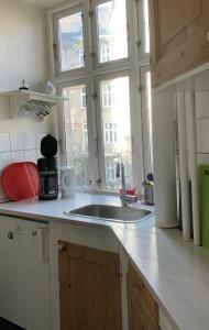 コペンハーゲンにあるApartmentInCopenhagen Apartment 510のキッチンカウンター(シンク付)、窓