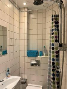 a bathroom with a shower and a sink at ApartmentInCopenhagen Apartment 510 in Copenhagen