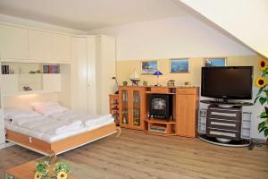 Ferienappartement zwischen Ostsees في Klein Gelm: غرفة معيشة فيها سرير وتلفزيون
