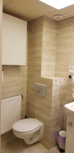 a bathroom with a toilet and a sink at Willa Głogowska in Poznań +26 photos