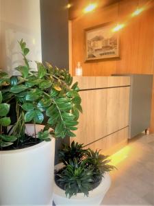 a lobby with two large potted plants in a room at Apartaments Turístics Conseller in Andorra la Vella