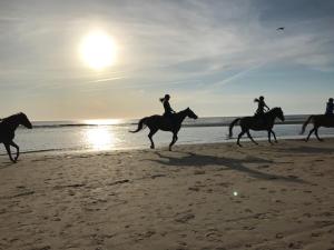 a group of people riding horses on the beach at Vlasoven loft in Noordwijkerhout