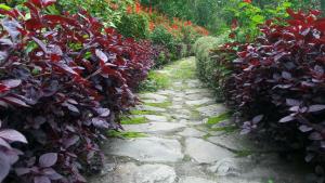 a stone path in a garden with red flowers at Rajalim Homestay in Māngwa