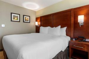 Postel nebo postele na pokoji v ubytování Comfort Inn & Suites Euless DFW West