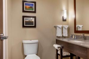 Koupelna v ubytování Comfort Inn & Suites Euless DFW West