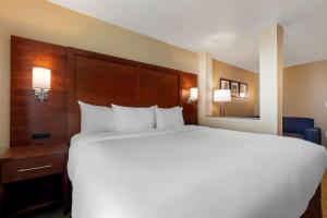 Postel nebo postele na pokoji v ubytování Comfort Inn & Suites Euless DFW West
