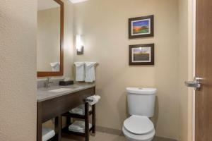 Koupelna v ubytování Comfort Inn & Suites Euless DFW West