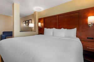Postel nebo postele na pokoji v ubytování Comfort Inn & Suites Euless DFW West