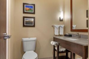 Koupelna v ubytování Comfort Inn & Suites Euless DFW West