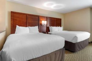 Postel nebo postele na pokoji v ubytování Comfort Inn & Suites Euless DFW West