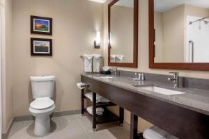Koupelna v ubytování Comfort Inn & Suites Euless DFW West