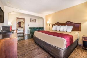 une chambre d'hôtel avec un lit et une télévision dans l'établissement Econo Lodge Inn & Suites, à Macon