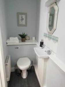 a white bathroom with a toilet and a sink at Rectory Farm in Haverfordwest