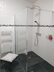 uma casa de banho com um chuveiro com uma cadeira e uma cabina de duche em vidro. em La Clef des Champs em Potelle