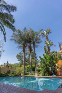 a swimming pool with palm trees in the background at Airport Tower Lodge in Kempton Park