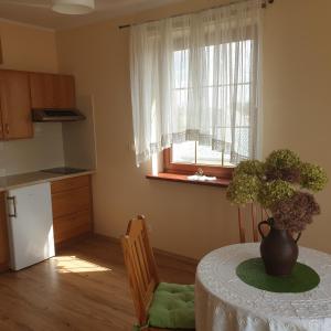 a kitchen with a table with a potted plant on it at Apartamenty i pokoje u Beaty in Augustów