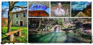 Fotografie z fotogalerie ubytování B&B BOSCOVECCHIO v destinaci Assisi