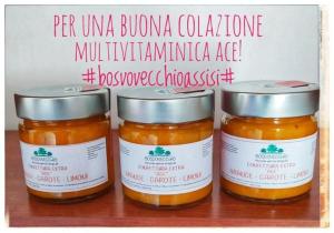 Fotografie z fotogalerie ubytování B&B BOSCOVECCHIO v destinaci Assisi