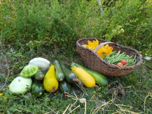 a pile of vegetables on the ground with a basket at B&B BOSCOVECCHIO in Assisi