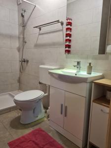 La salle de bains est pourvue de toilettes, d'un lavabo et d'une douche. dans l'établissement Apartmani Memić 100 m do plaže, APARTMENTS MEMIĆ ONLY 100M FROM BEACH, à Poreč