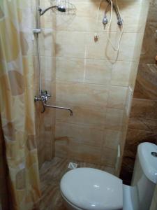 ゼレノグラーツクにあるApartment u bashniの小さなバスルーム(トイレ、シャワー付)