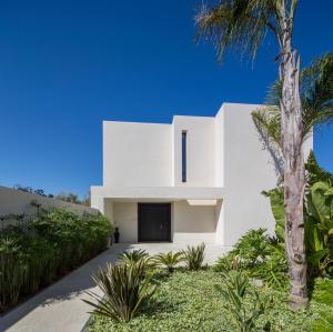 a white house with a palm tree at STORY Rabat in Rabat