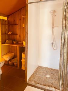 a bathroom with a shower and a toilet at Casa Chiquito in Savaneta