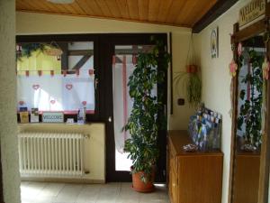 Fotografie z fotogalerie ubytování Pension Williams v destinaci Seebach