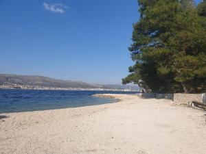 uma praia arenosa com árvores e água em Villa Sandrina em Okrug Donji