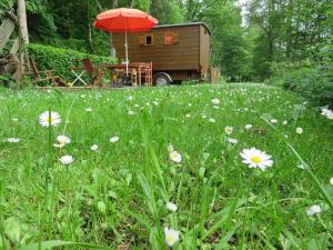 Bienenwagen der Naturheilpraxis Melchger في Wildberg: مظلة حمراء في حقل من العشب مع الزهور