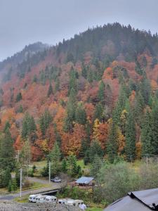 Pogled na planine ili pogled na planine iz koliba