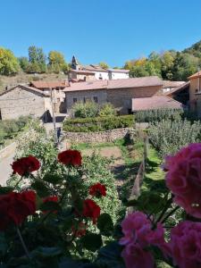 un giardino fiorito di fronte a un villaggio di Casa Rural Nevada a Horcadas Altre 29 foto