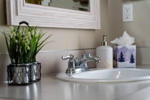 - un lavabo avec une bouteille de savon et une plante dans l'établissement Gaibler Country Cottage, à Newberg