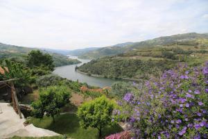 Paisagem natural perto da casa de férias