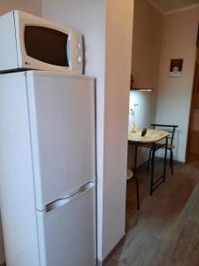 een magnetron bovenop een koelkast in een keuken bij Sétány apartman in Mórahalom