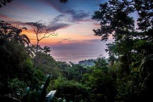 - une vue sur une forêt au coucher du soleil dans l'établissement Lapa Rios Lodge by Böëna, à Puerto Jiménez