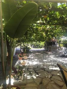 Villa Valeria Thassos外面的花园