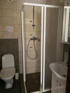 ヴァレナにあるLiškiavio apartamentaiのバスルーム(シャワー、トイレ、洗面台付)