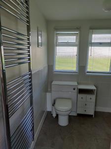 a bathroom with a white toilet and two windows at The Little Retreat in Dartmouth