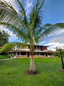 a palm tree in front of a building at Casa Campestre Sol Y Luna in Quimbaya