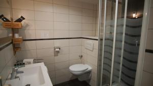 a bathroom with a toilet and a sink and a shower at Hôtel Le Bellevue in Tarascon-sur-Ariège +28 photos