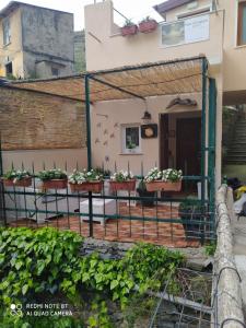a house with potted plants on the front porch at Rio Groppo Guesthouse in Manarola