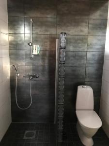 een badkamer met een toilet en een douche bij Maijala in Toholampi